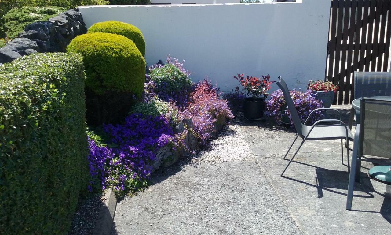 Gentian Villa B&B Ballyvaughan Luaran gambar
